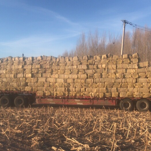 洮南市玉米秸秆草捆