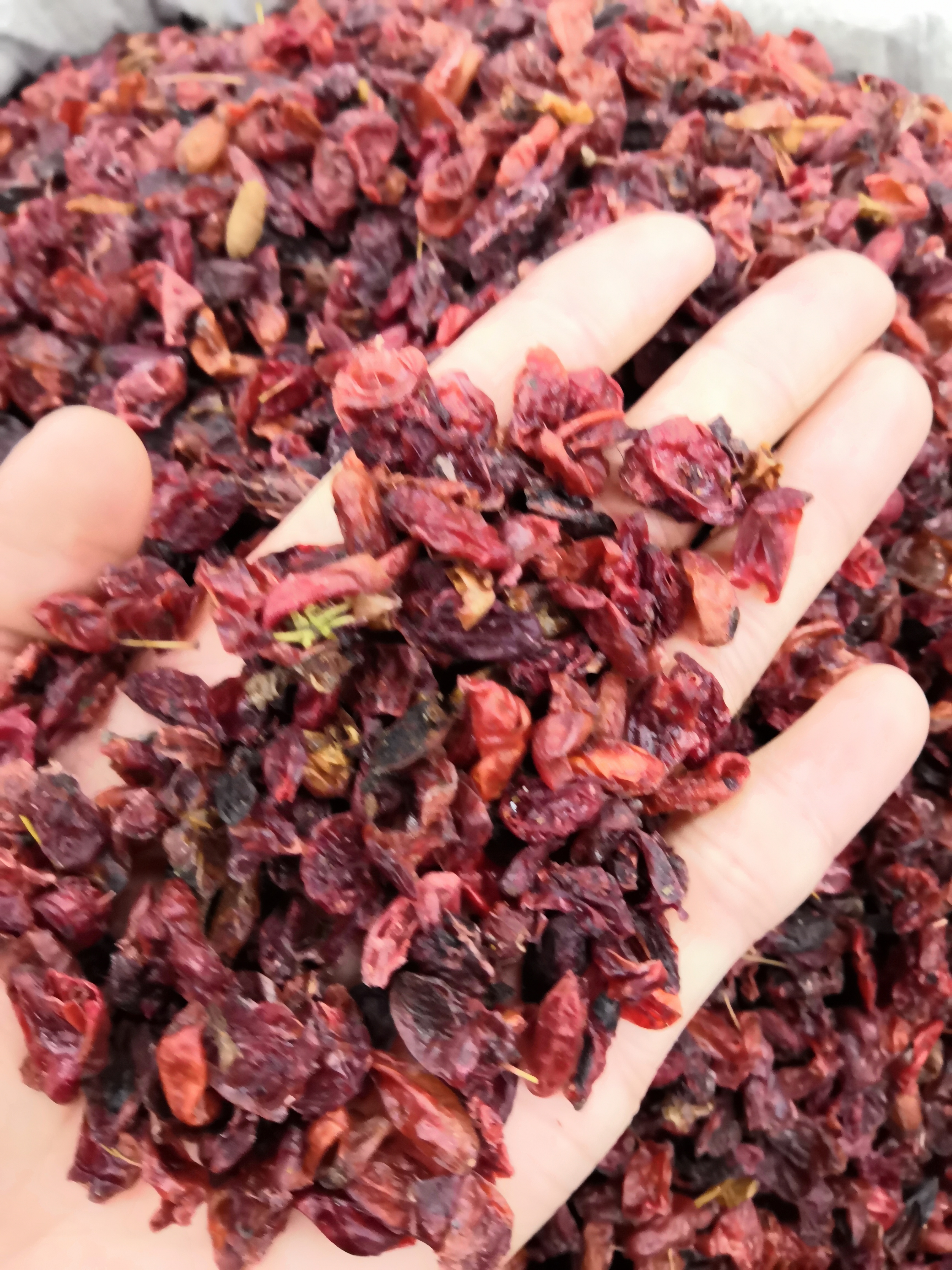 山茱萸   山萸肉 批发各种 中药材 新货 无硫 新货