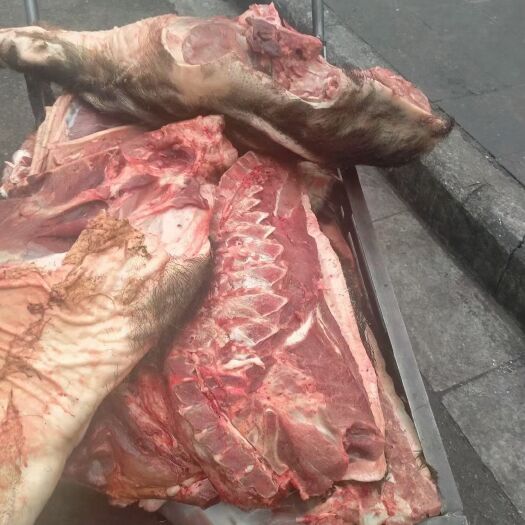 桂林土猪肉  散养山猪肉  瘦肉率高  口感好