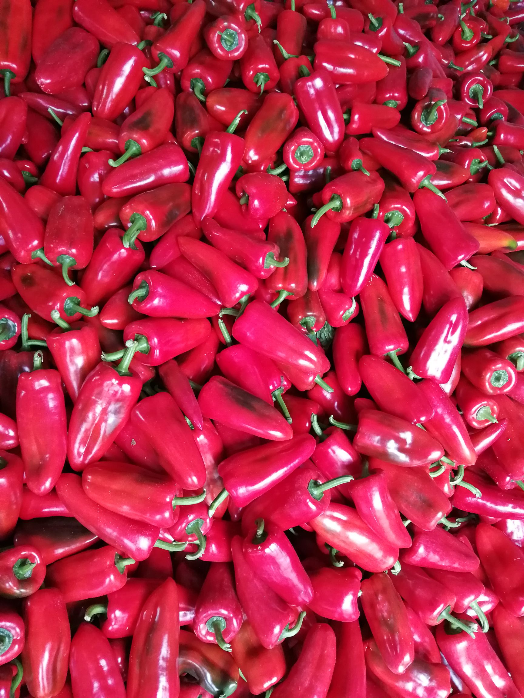 辣椒  红椒，红甜椒，红泡椒，泡椒