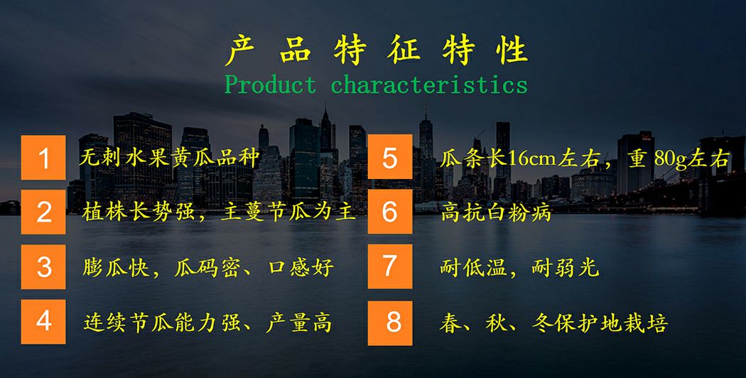 乾德1217黄瓜种子  乾德1217、农业部登记品种、水果黄瓜种子寿光醉美小黄瓜品种