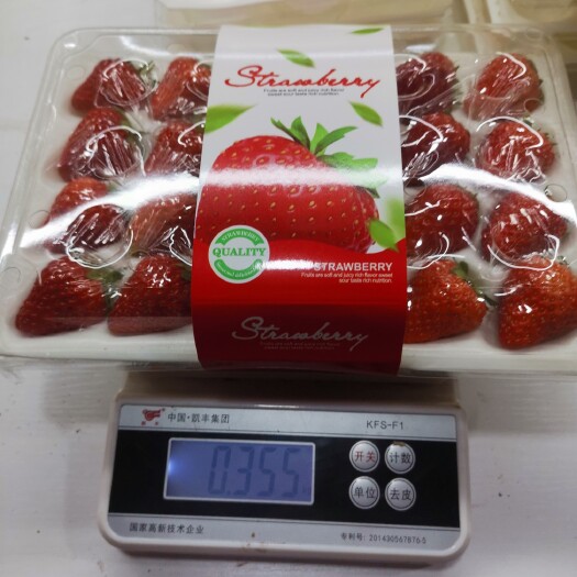 东港市红颜草莓  丹东九九草莓，红颜，烘培，茶饮
