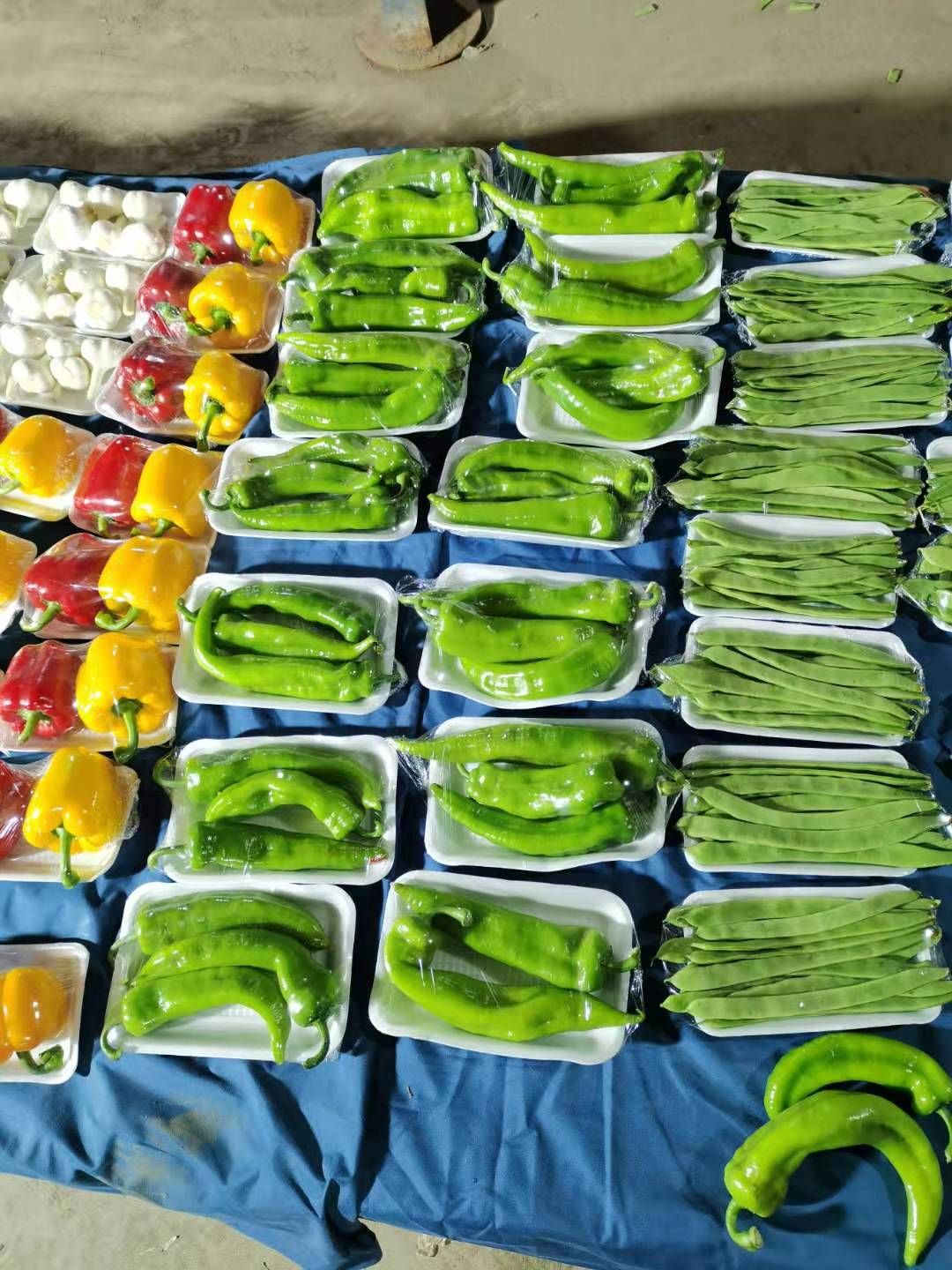 绿皮西葫芦  精品套菜，电商，美团，送礼佳品，产地直发，代发