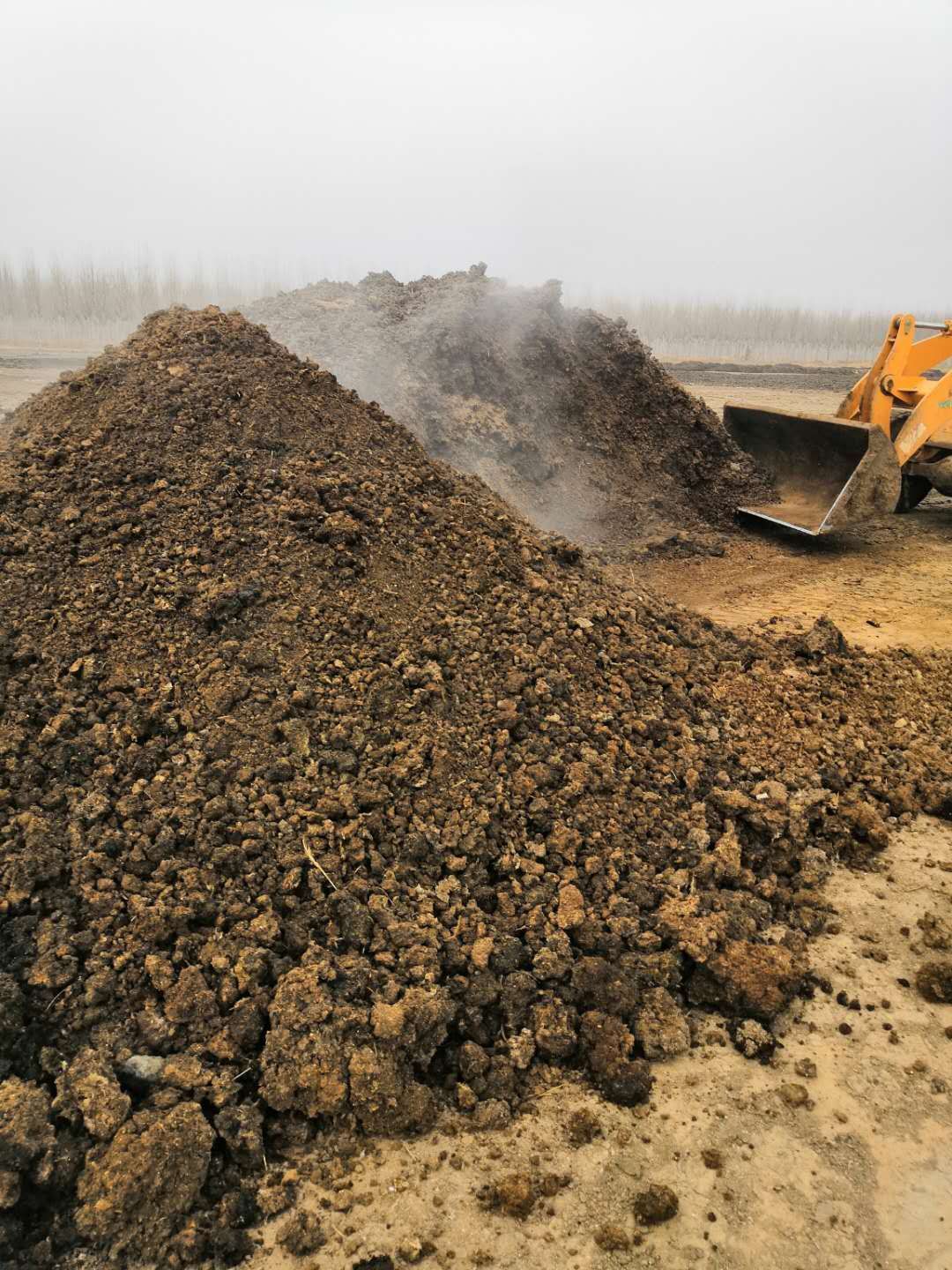 微生物有机肥    浓墨菌剂发酵腐熟鸡粪有机肥，欢迎洽谈合
