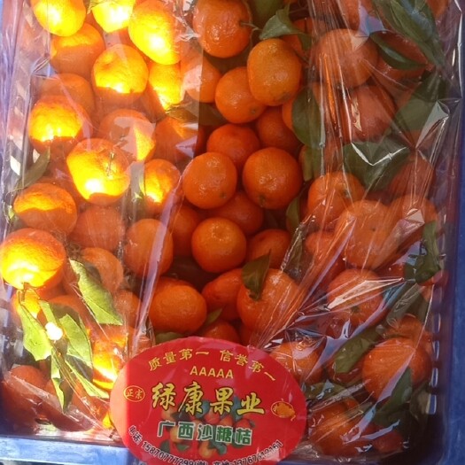 黑山县沙糖桔 砂糖橘