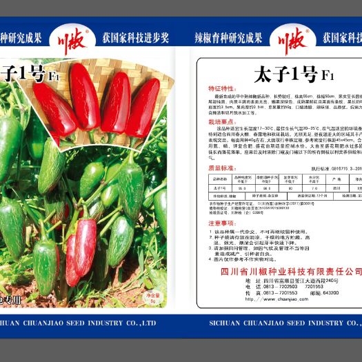 富顺县太子一号  辣椒种子