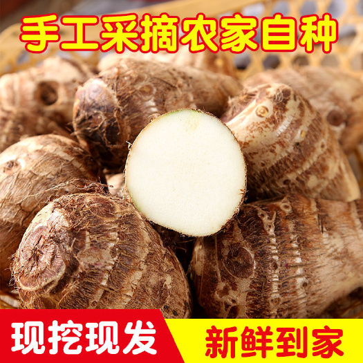 芋头，产地直销，大量出售，欢迎新老客户订购！