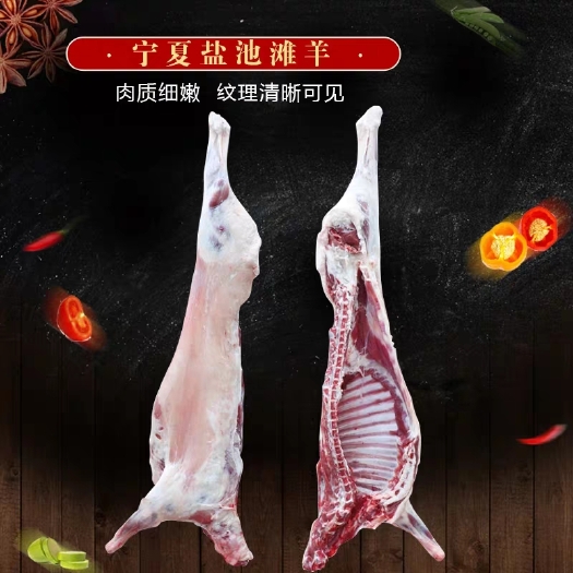 羊肉盐池滩羊肉