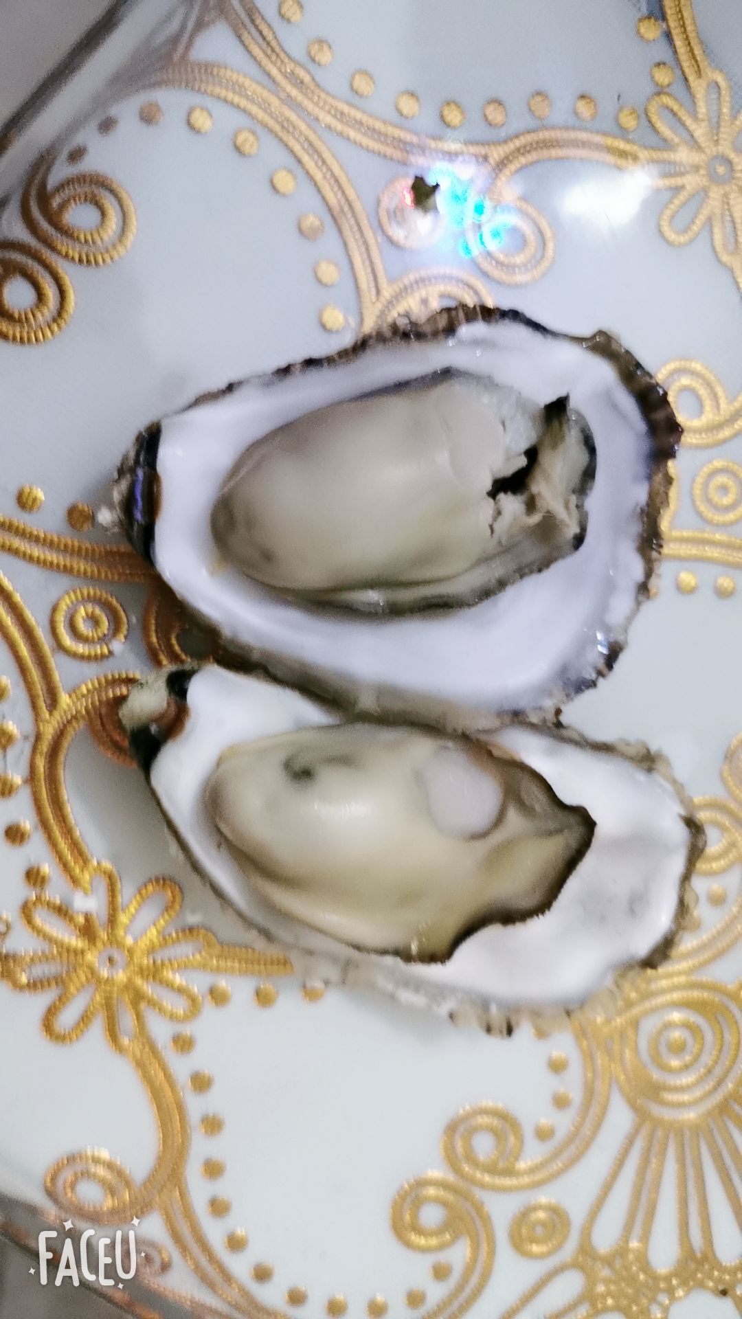 青岛牡蛎 青岛生蚝，海蛎子，牡蛎