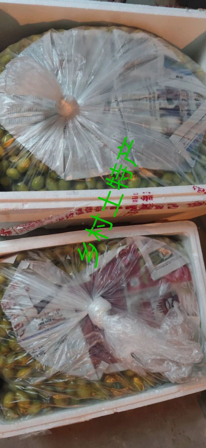 橄榄干中药材自然晾晒风干无硫泡茶泡酒煲汤基地直发