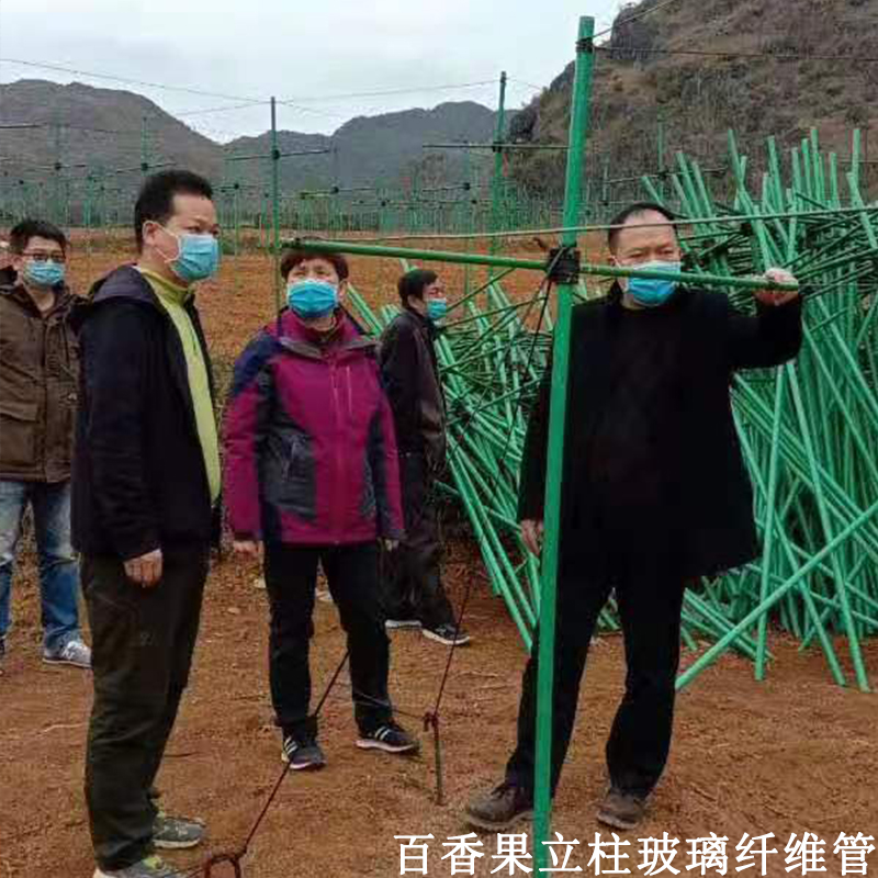 立柱百香果棚架遮阳网支撑管高强度耐老化玻璃纤维管