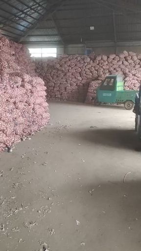 红皮蒜  大蒜  金乡大蒜代收代收代发货