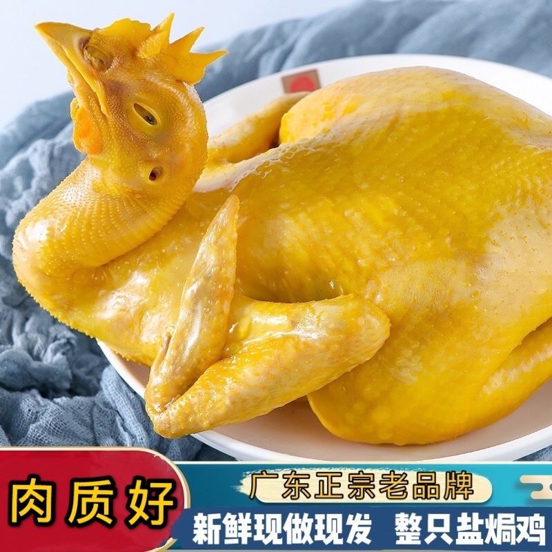 广东梅州客家盐焗鸡整只手撕鸡盐水鸡白切鸡肉类熟食卤味零食小吃