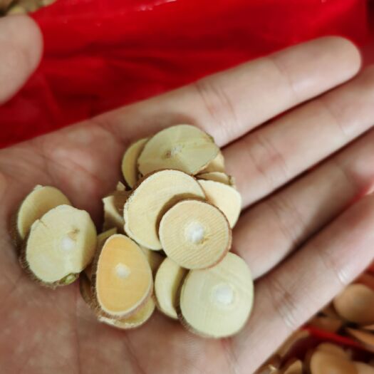 绵阳大量桑枝供应，各种规格现货500吨