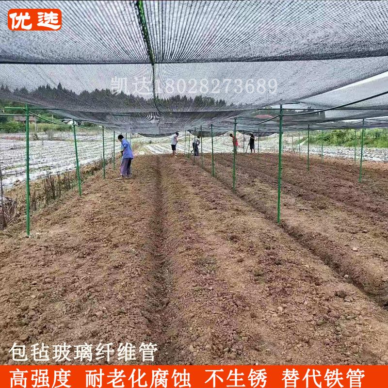 立柱百香果棚架遮阳网支撑管高强度耐老化玻璃纤维管