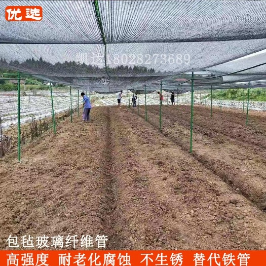 东莞市立柱百香果棚架遮阳网支撑管高强度耐老化玻璃纤维管
