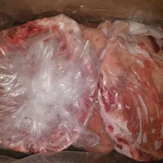 阳信县羊排骨 羊排   羔羊羊排  带皮羊排