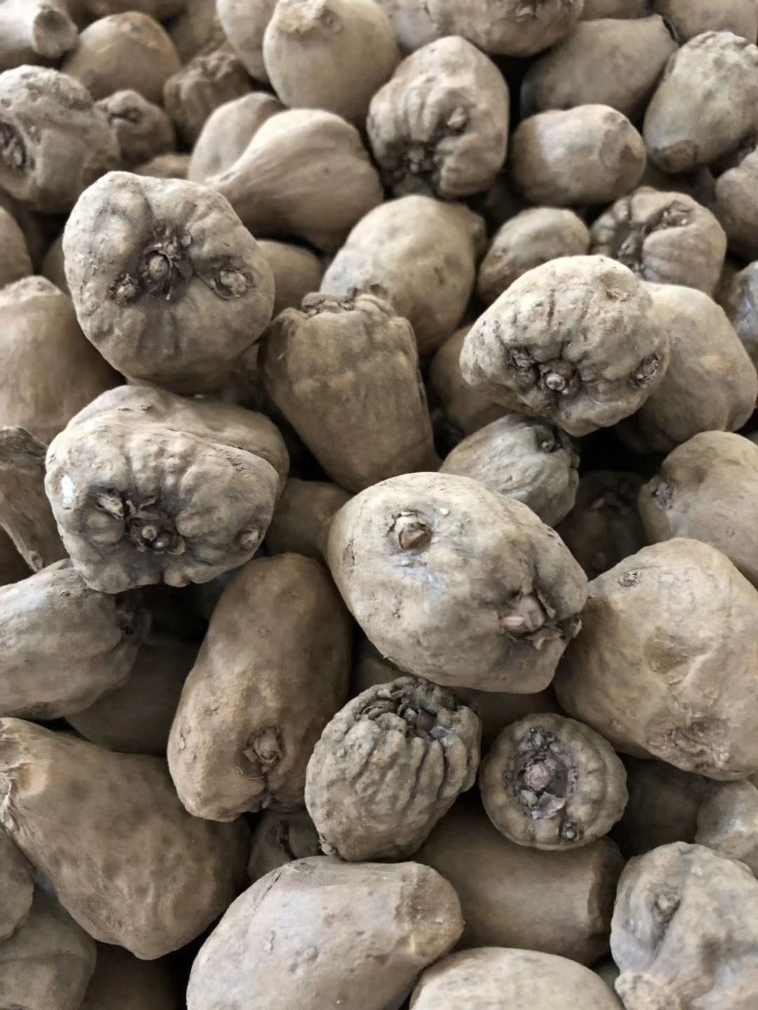 紫魔芋 23.00 元/斤