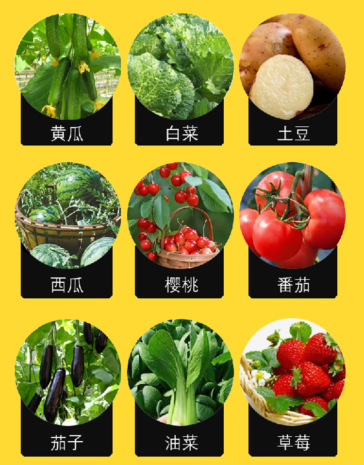 冲施肥 大量元素水溶肥高钾平衡型生根壮苗膨果上色增甜增产瓜果蔬菜