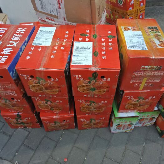 重庆市澳洲脐橙 重庆巫山 纽荷尔批发也行 包邮到家