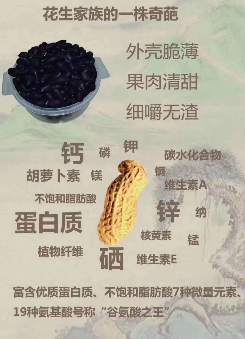 云南老品种黑花生正宗普洱富晒黑花生产地直发低价批发质量保证