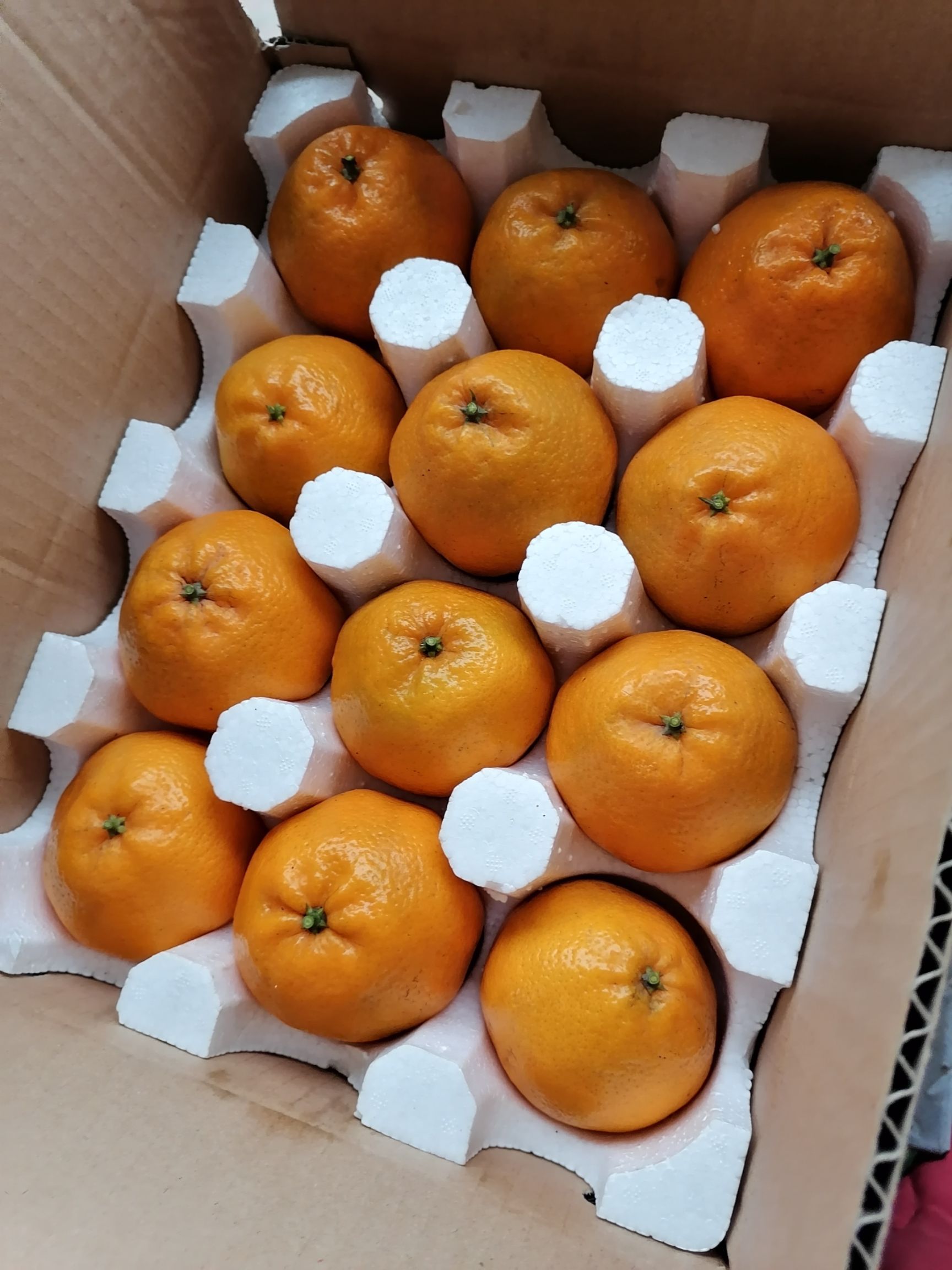 耙耙柑口味甜，果肉化渣，过年送礼品，精美包装10斤1箱。