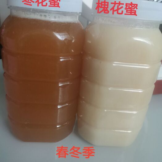 宜阳县土蜂蜜  自产自销蜂蜜