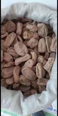 陕南特产自家种的天麻天麻片