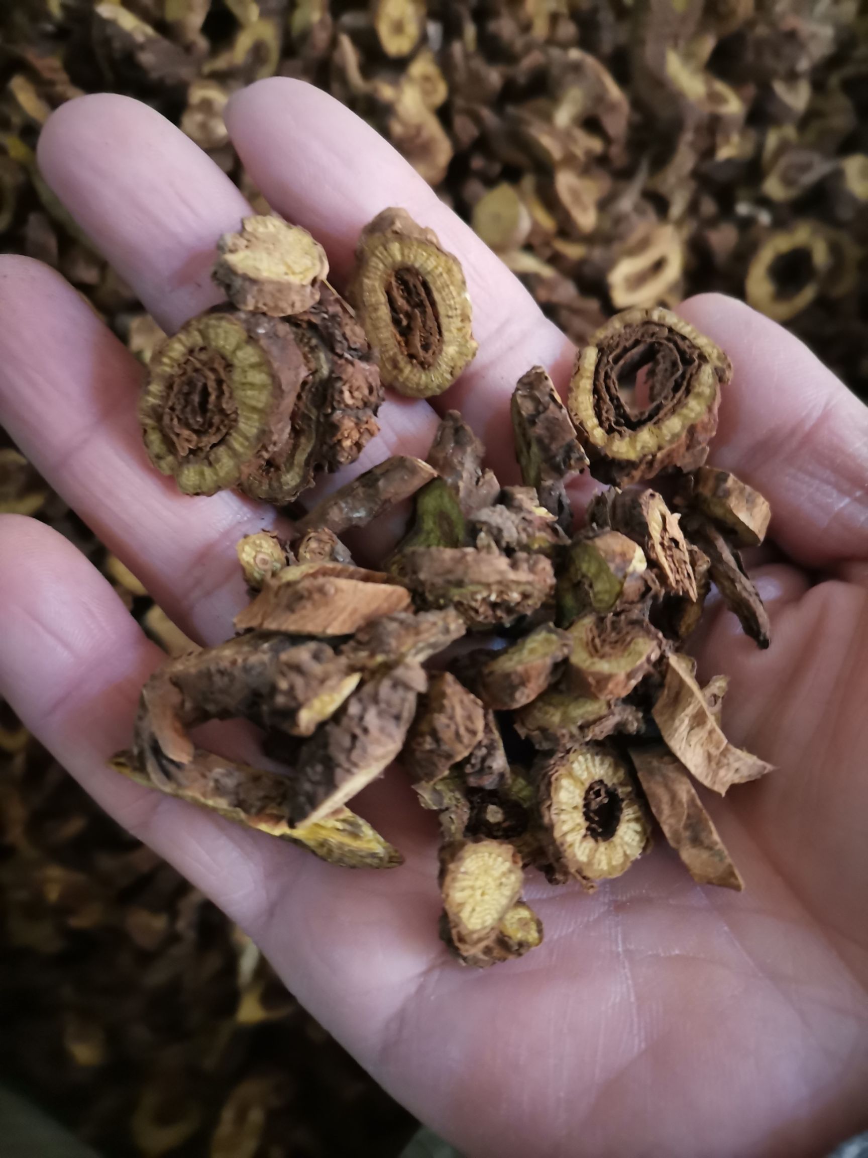 黄芩  内蒙  枯芩  高含量  自然生长  2斤起包邮