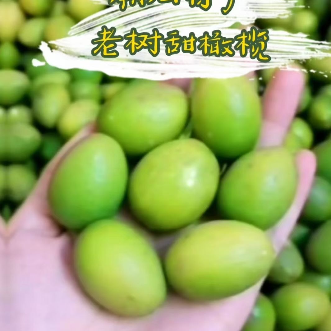 青榄 潮汕特产青橄榄！甘甜无渣