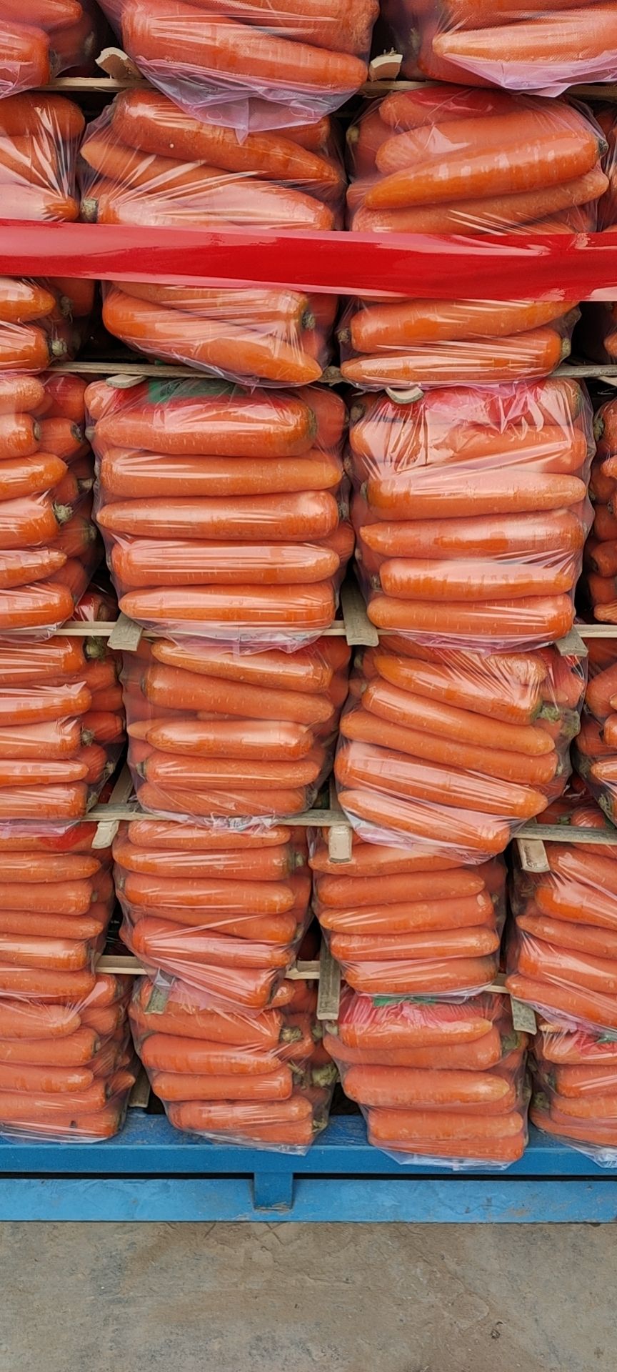 胡萝卜20元!10斤包邮