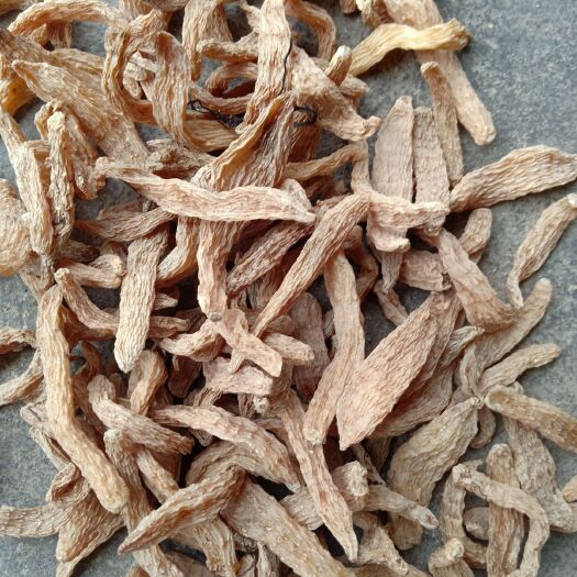 康县红天麻  从无硫天麻片，