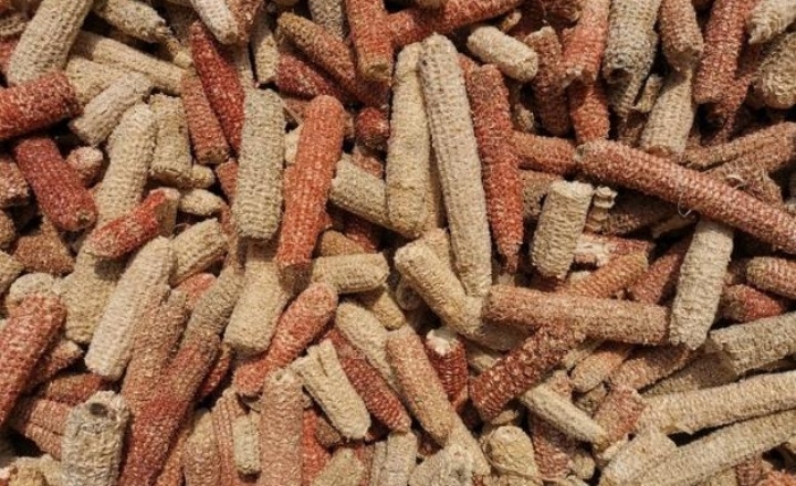 糠麸饲料 玉米芯