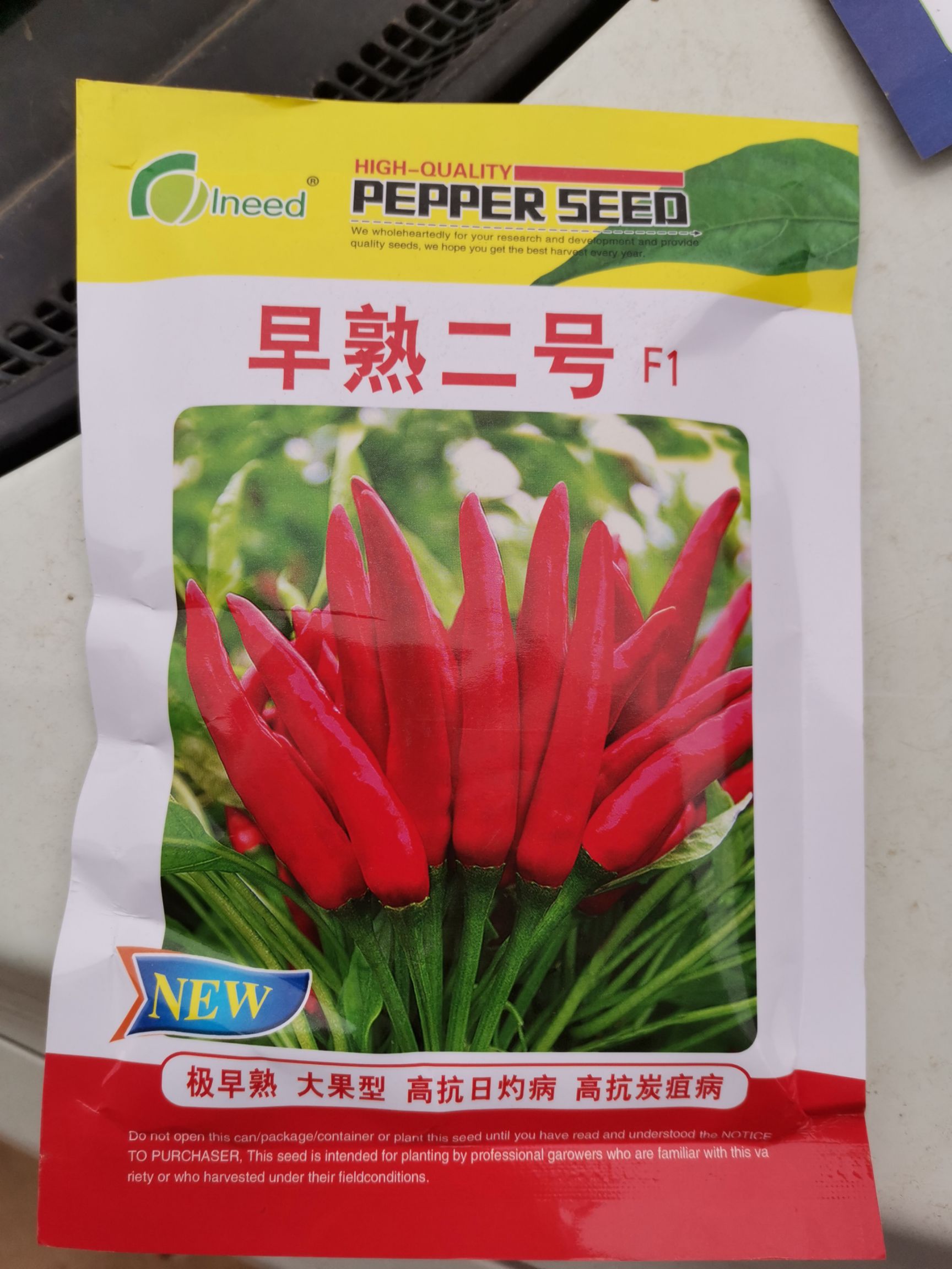 朝天椒种子  优质三英椒种子，签合同保回收