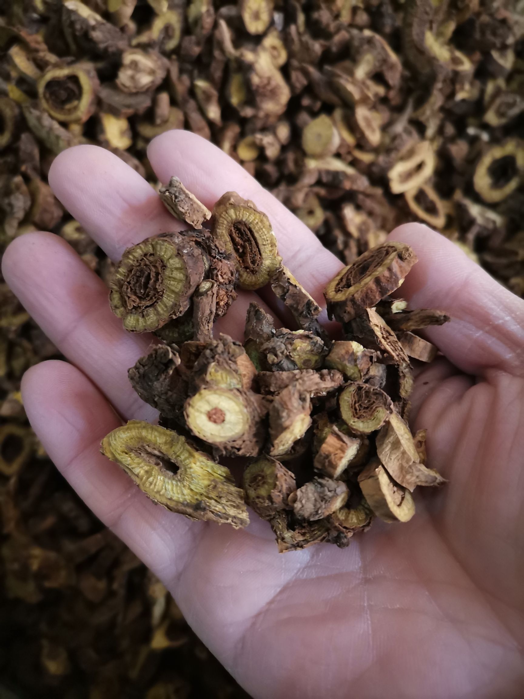 黄芩  内蒙  枯芩  高含量  自然生长  2斤起包邮