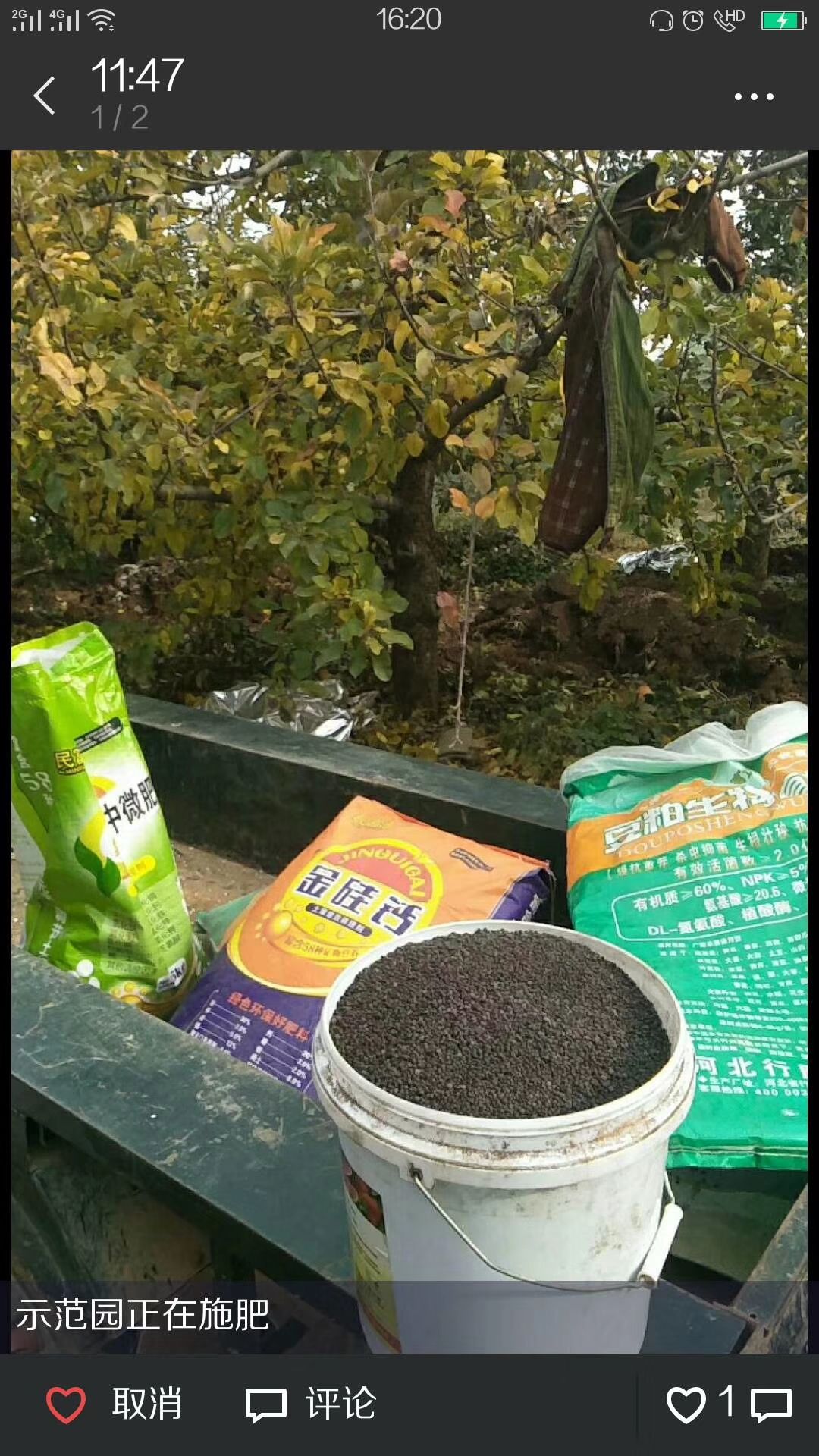 中量元素肥料  中微量元素矿物肥桃园基地卸货