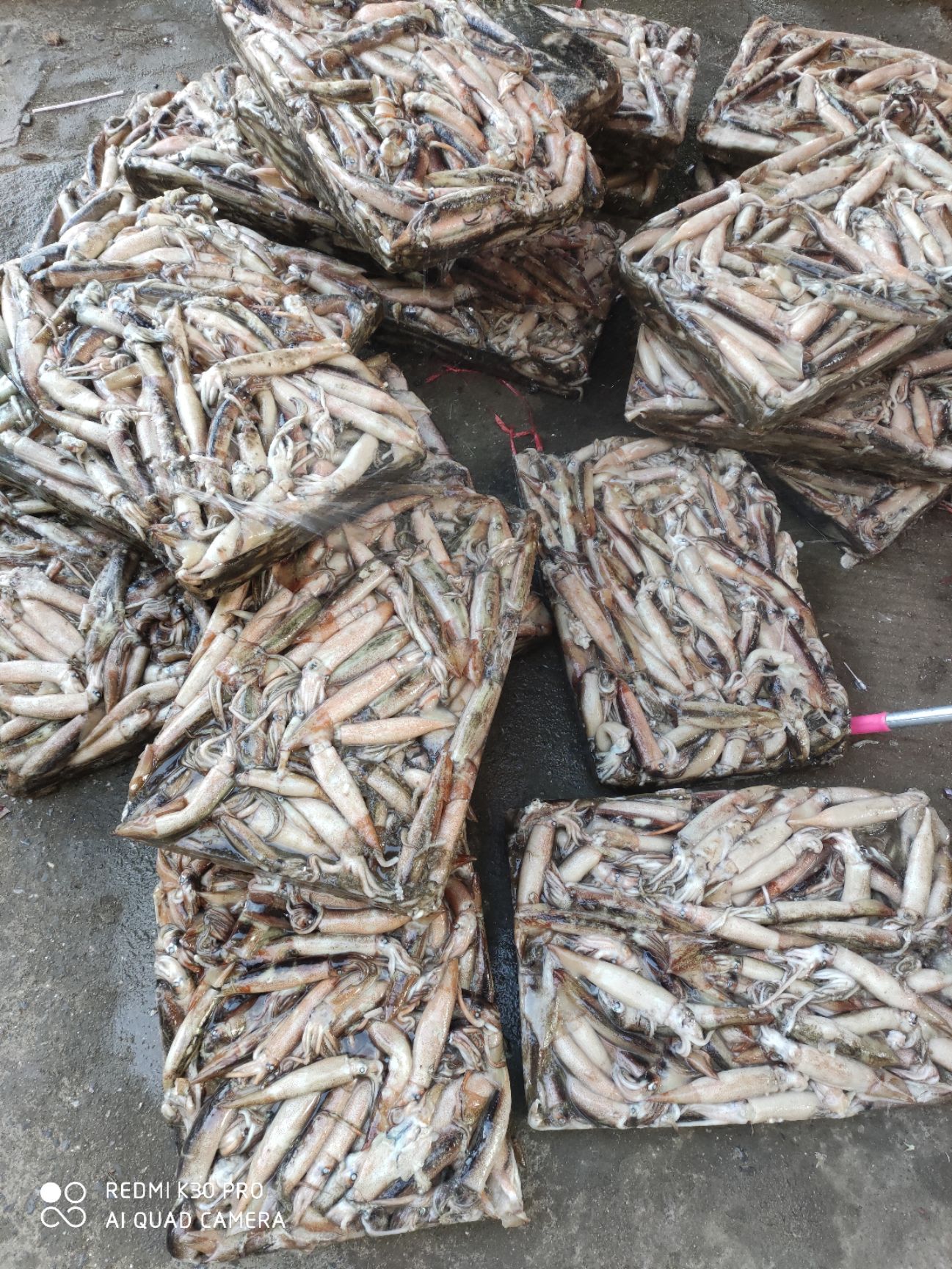 真鱿  饭堂食堂专用，卜卜脆7元/斤，一件40多斤。