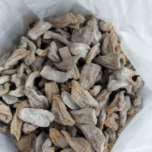 筠连县楠竹笋干  三寸以下的小宝尖