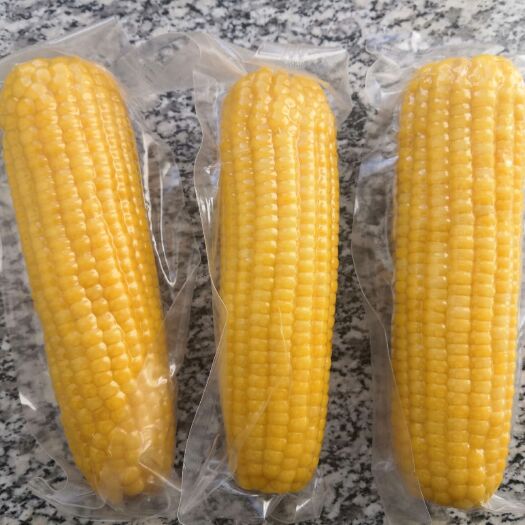 牡丹江真空包装鲜食糯玉米