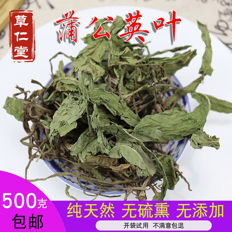  云南中药材蒲公英叶 整颗蒲公英叶婆婆丁新鲜干货500g包