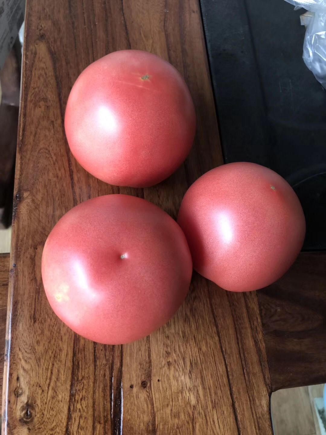 硬粉番茄苗  越夏耐热耐裂 瑞粉102