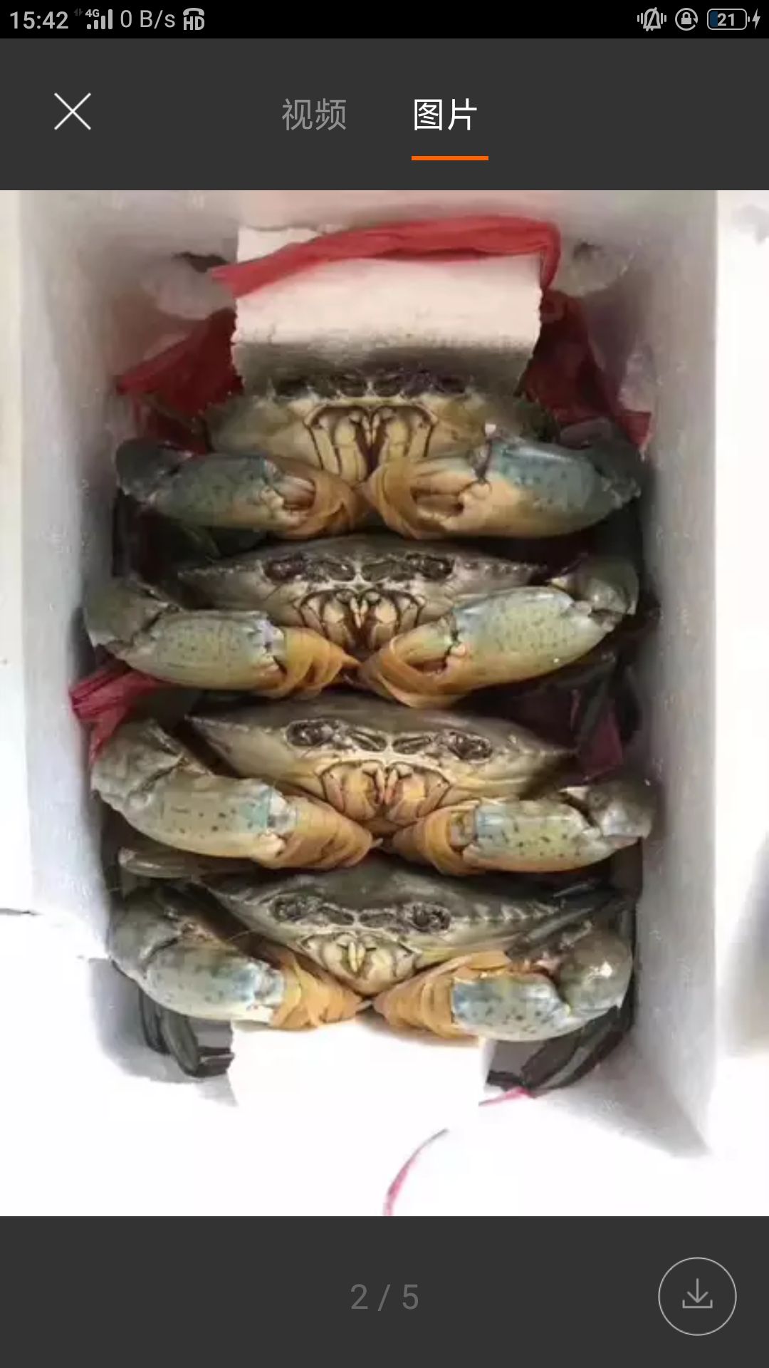 红膏蟹，半斤以上。寄活的。红膏