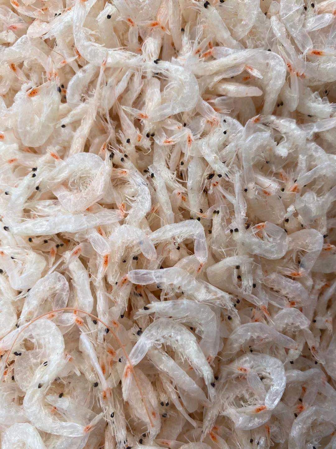  虾皮  淡干无盐 干度好 盐分低 大量批发