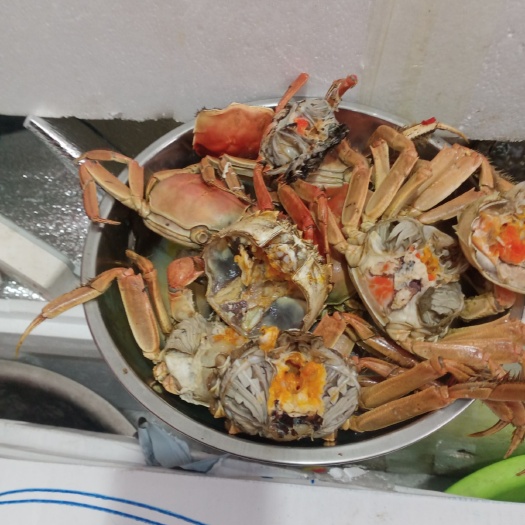 秦皇岛泰兴大闸蟹 残母残公