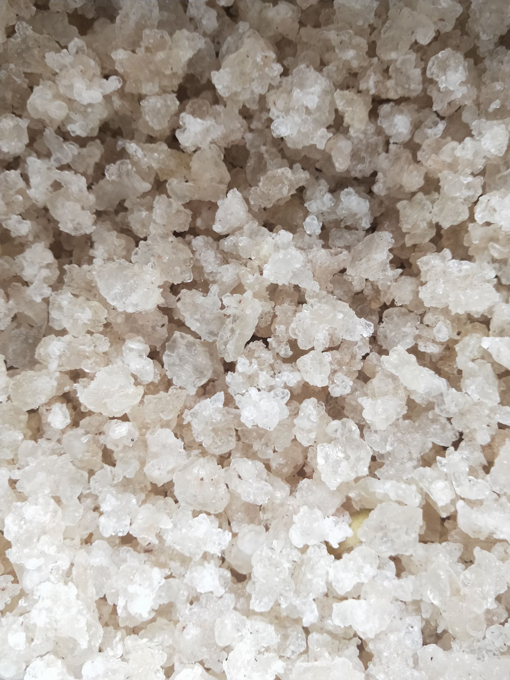 天然拉丝雪燕     一手货源     大货批发