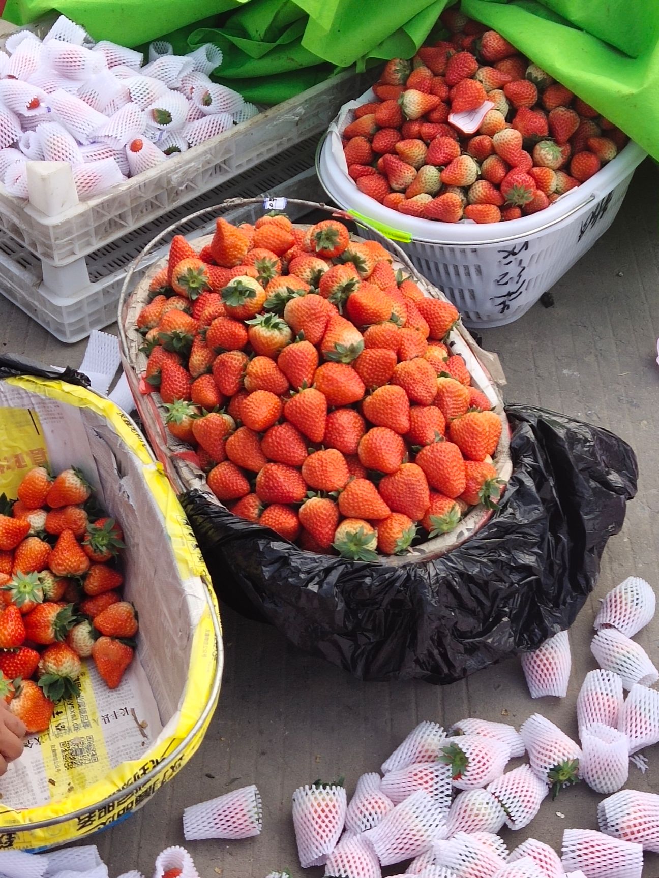 安徽长丰红颜草莓丰香草莓，奶油草莓产地直供