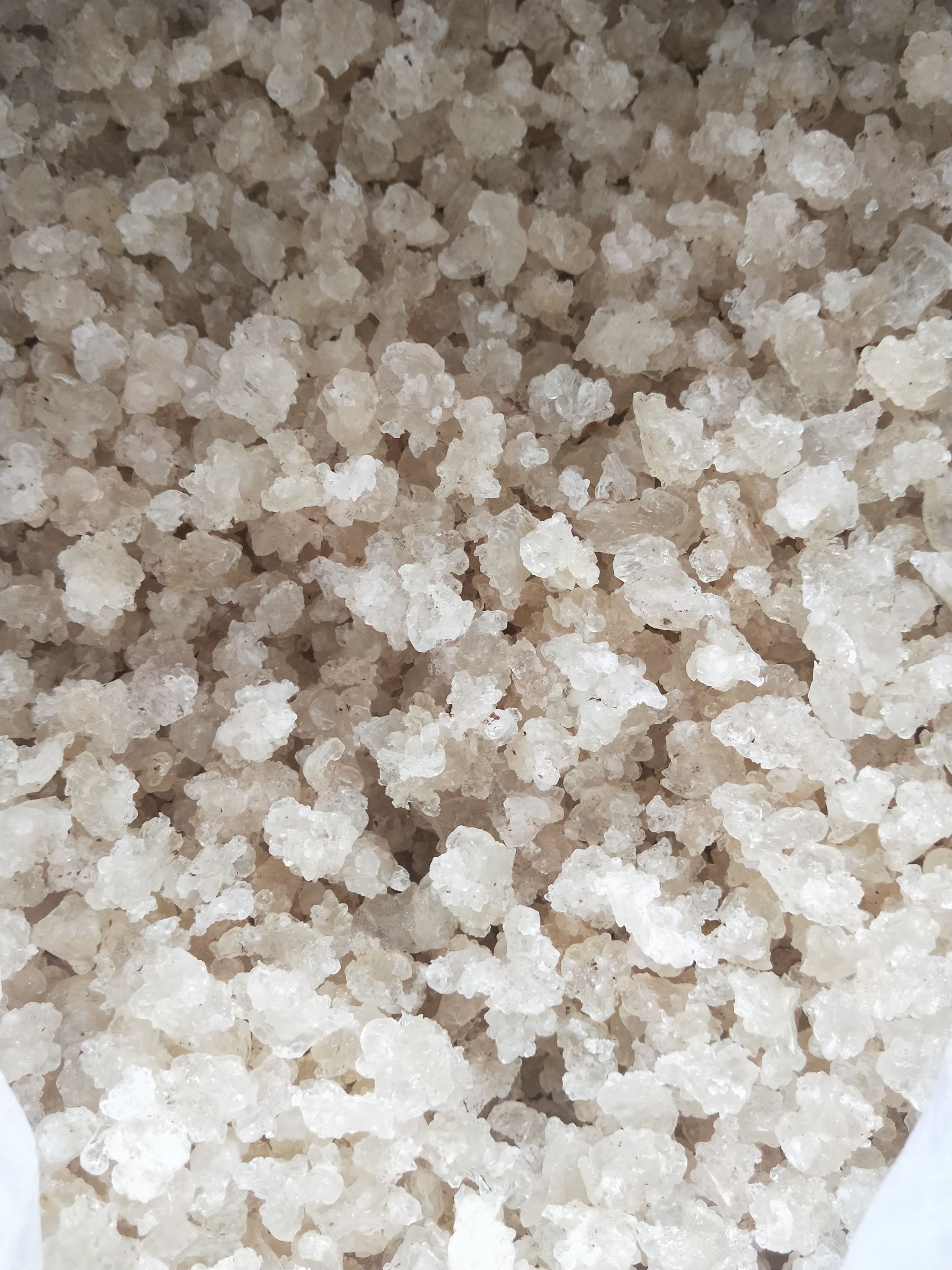 天然拉丝雪燕     一手货源     大货批发