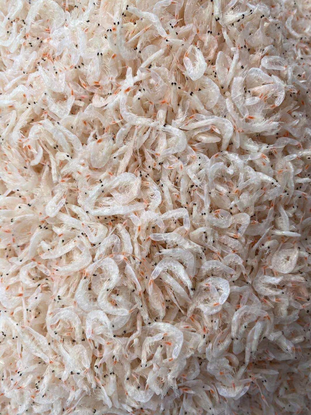  虾皮  淡干无盐 干度好 盐分低 大量批发