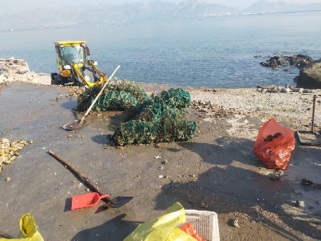 山东乳山牡蛎 生蚝牡蛎