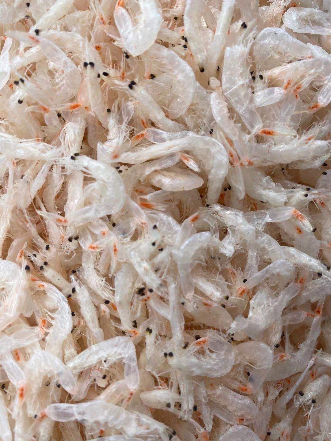  虾皮  淡干无盐 干度好 盐分低 大量批发